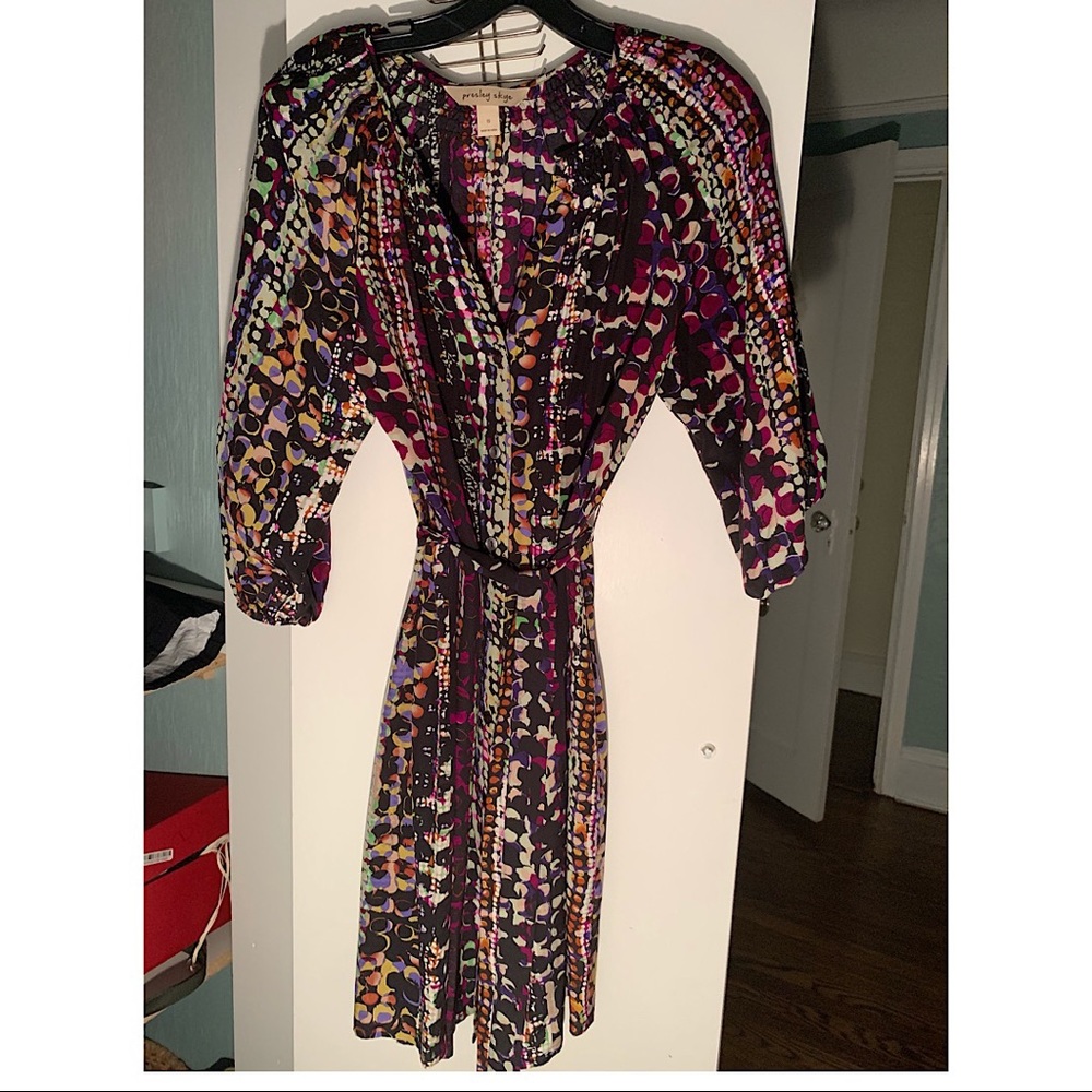 Presley Skye multicolor dress
